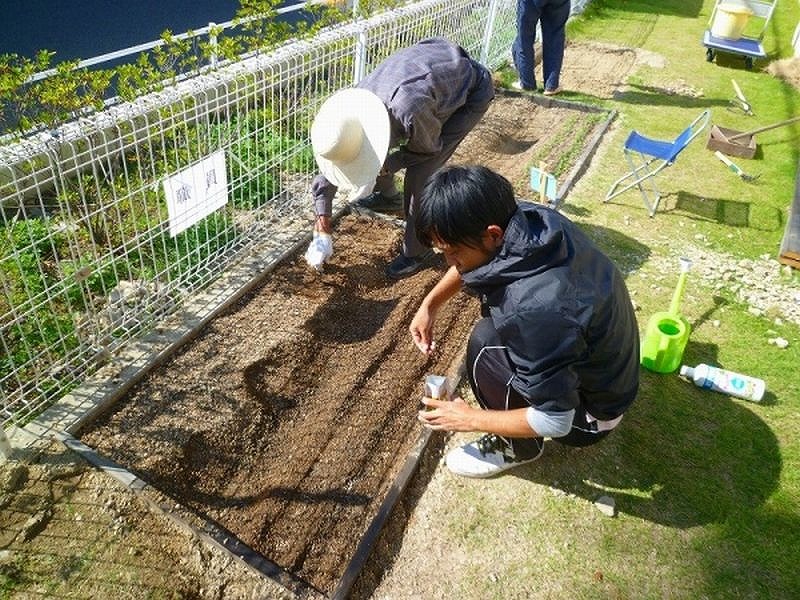 老人ホームデイ家庭菜園