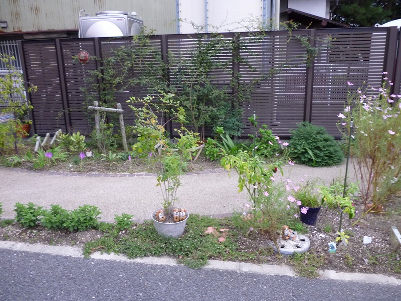 老人ホーム　お花　花壇