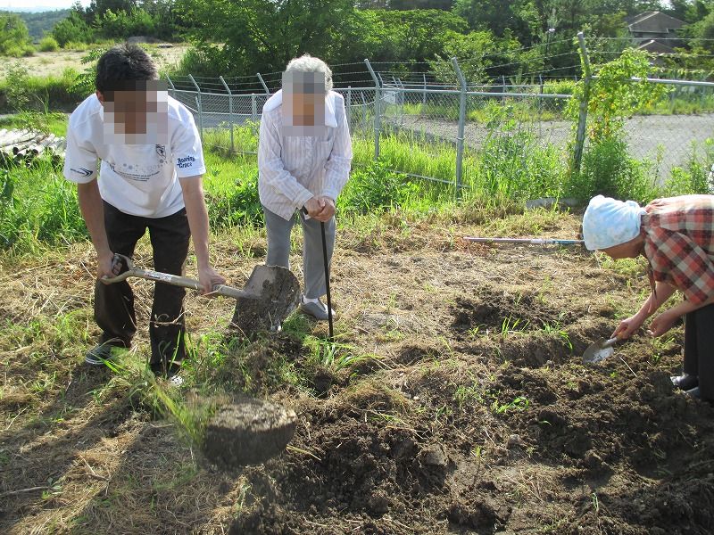 老人ホーム入居者家庭菜園