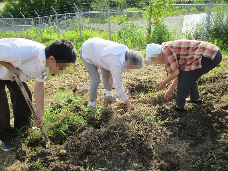 老人ホーム家庭菜園