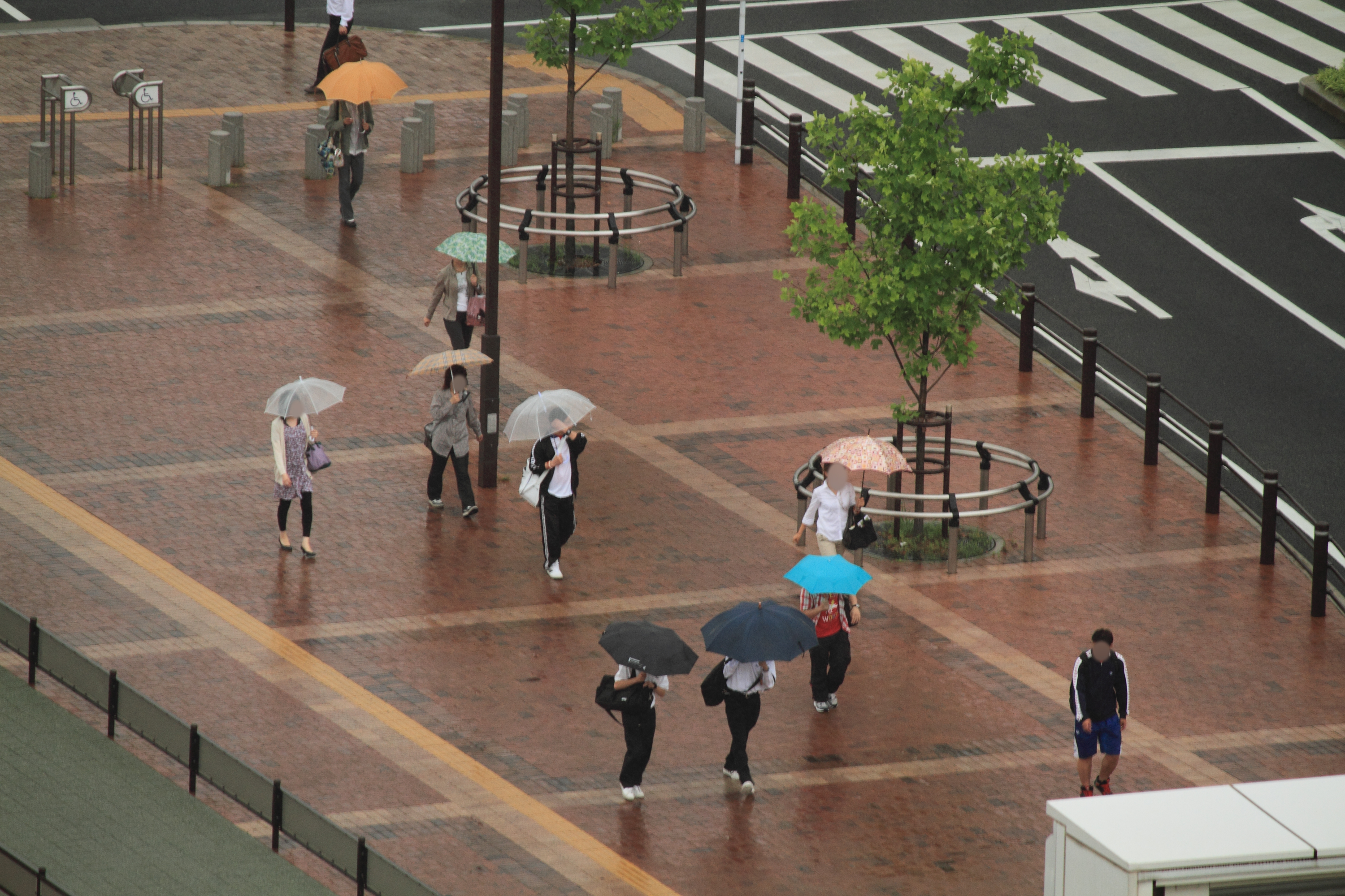 雨